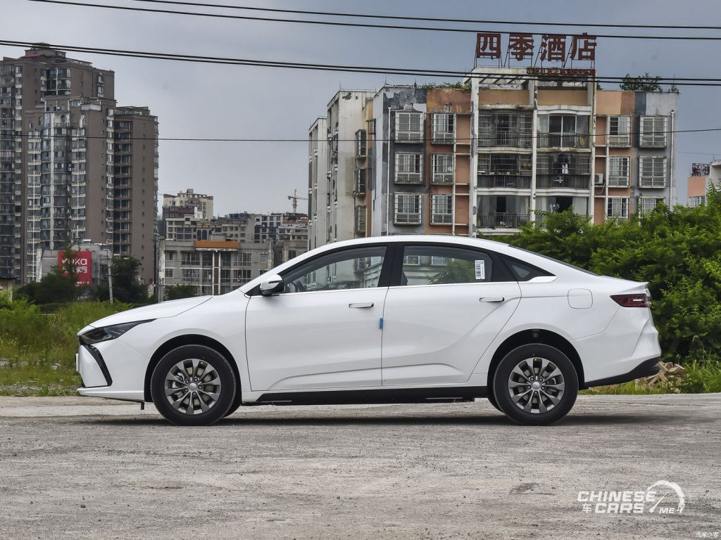 جيومتري G6, شبكة السيارات الصينية