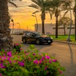 دونغ فينغ 007 2026