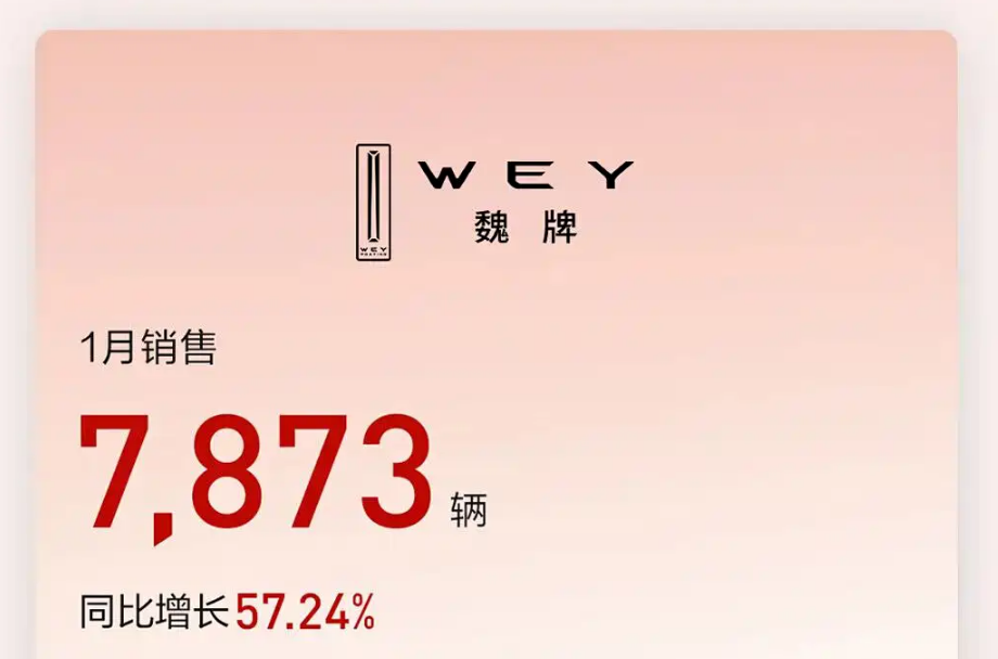 شبكة السيارات الصينية &ndash; GWM تبدأ 2026 بقوة: مبيعات يناير تتجاوز 90 ألف سيارة ونمو الصادرات بنسبة 43.7%